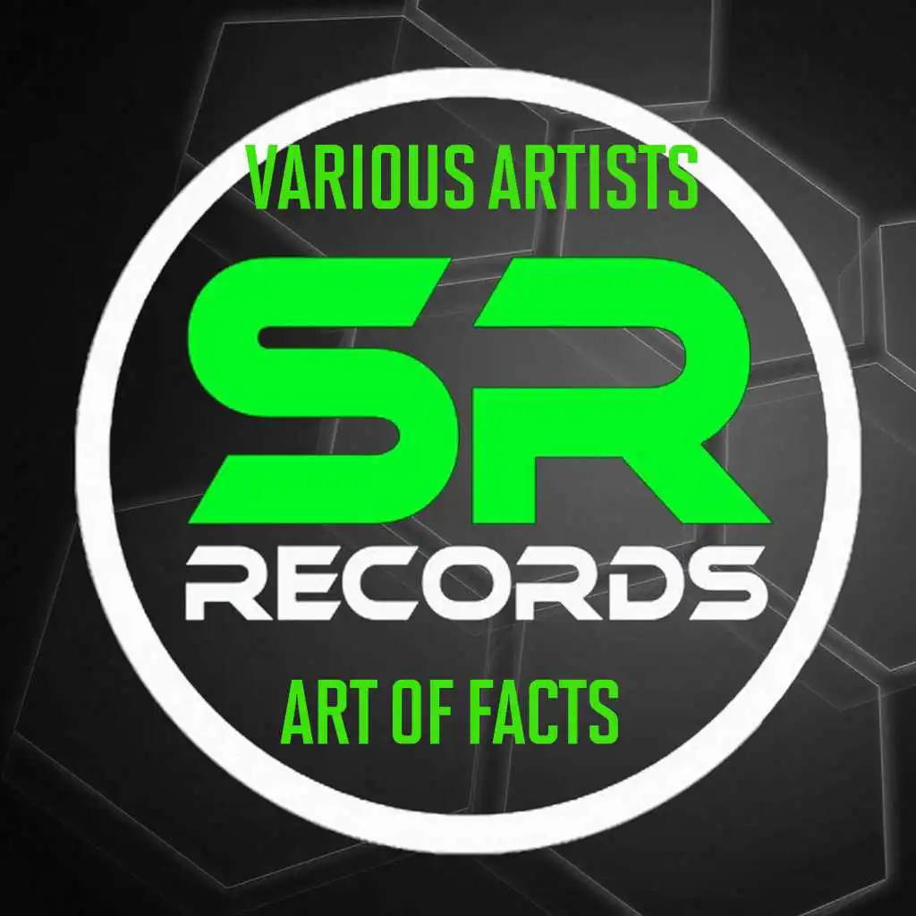 Art of Facts (The Palmer Dj Remix)