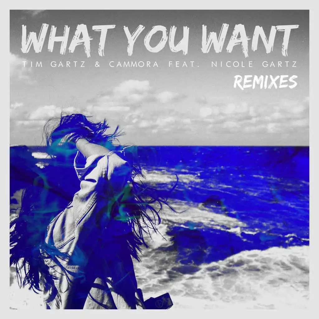 What You Want (feat. Nicole Gartz) [Tim Gartz Club Edit]