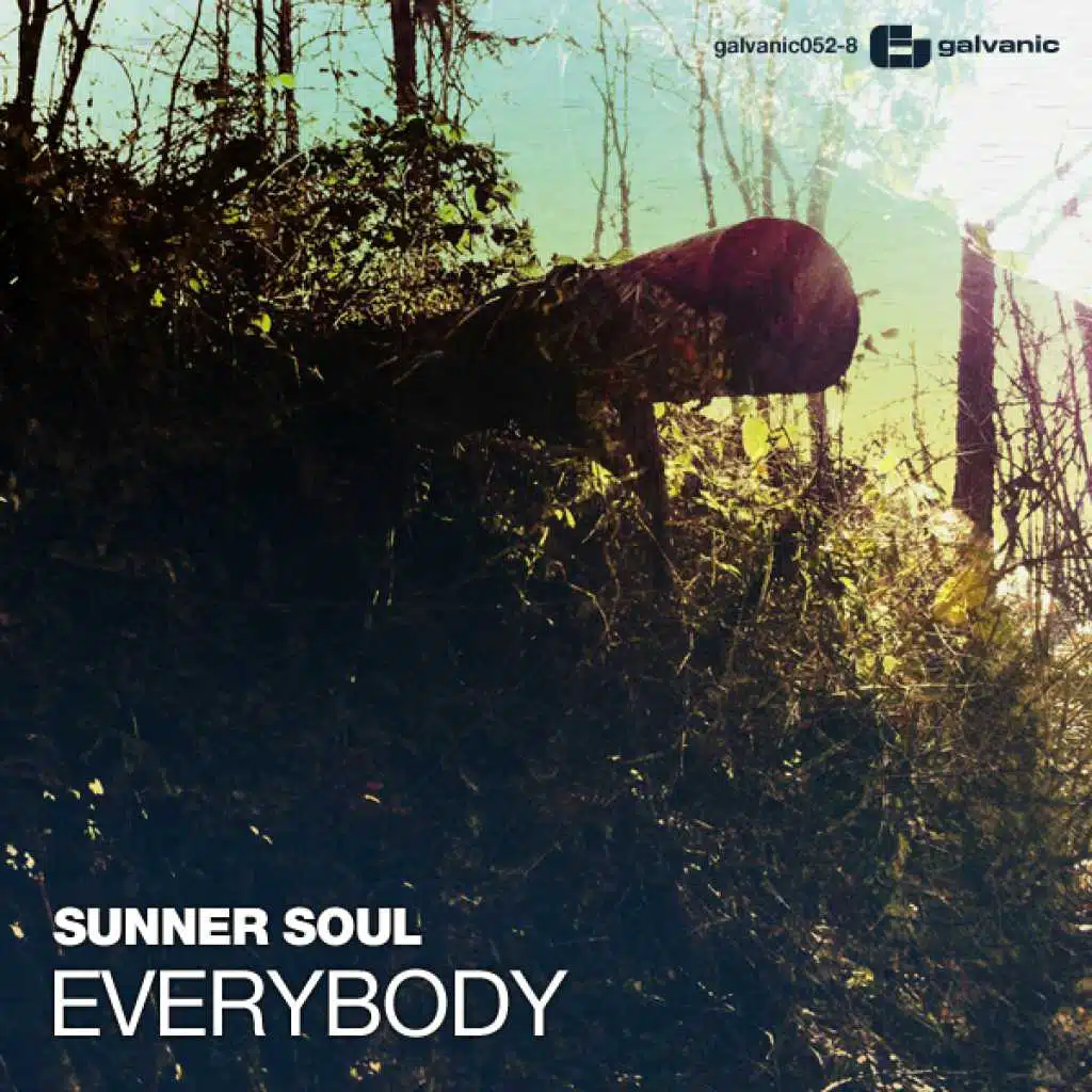 Everybody (Babak Remix)