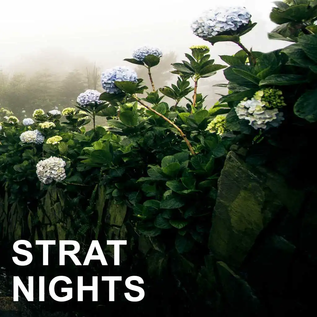 Strat Nights
