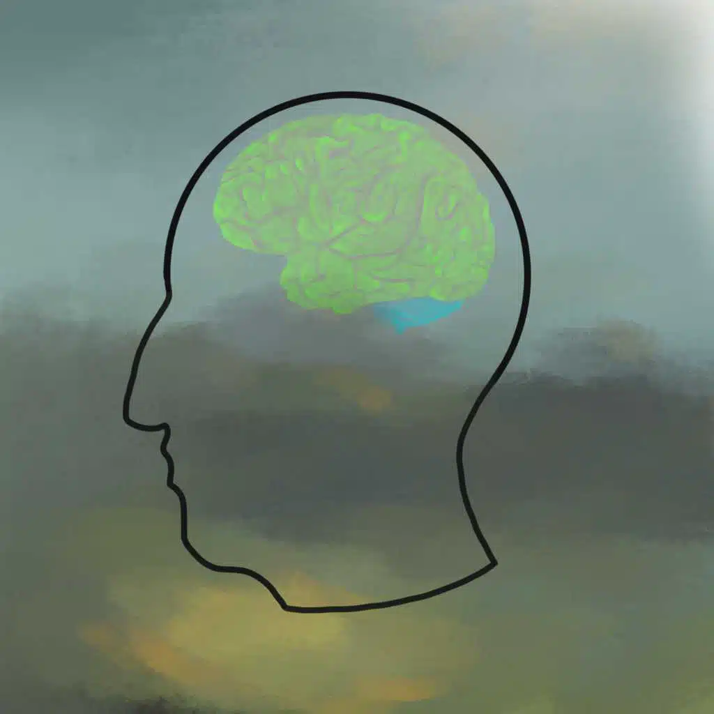 Anthropomorphic Analysis