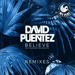 Believe (feat. Shawnee Taylor & MTS) [Remixes]