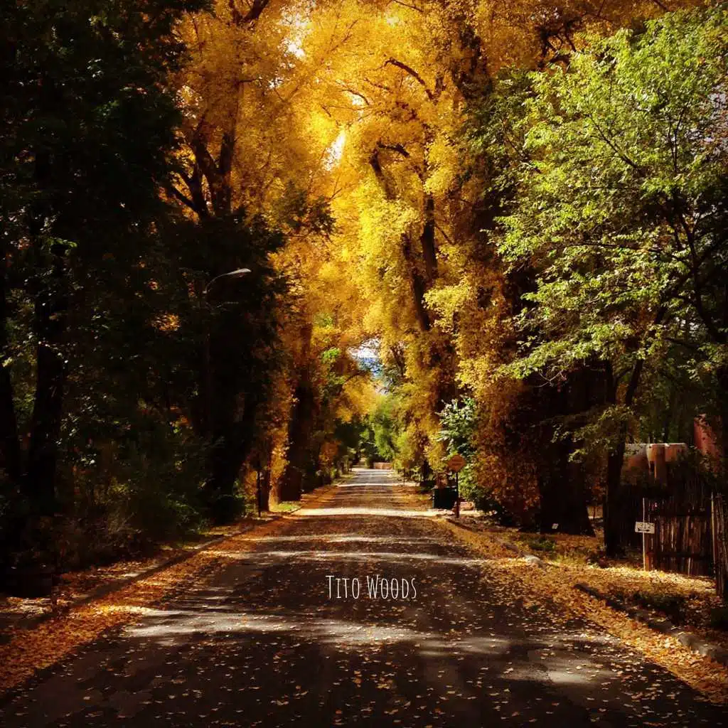 Tito Woods
