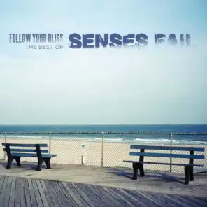 Follow Your Bliss: The Best of Senses Fail