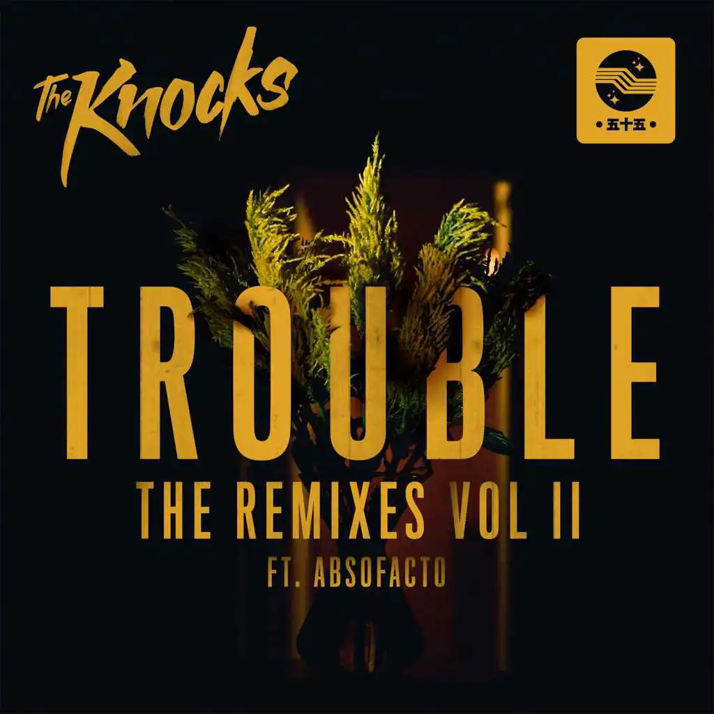 TROUBLE (feat. Absofacto) [CRNKN Remix]