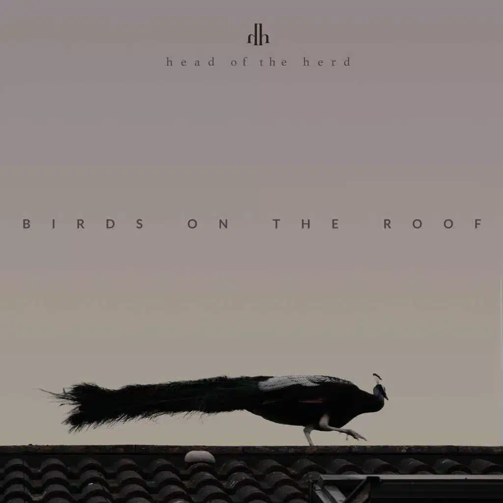 Birds on the Roof (Deluxe Edition)