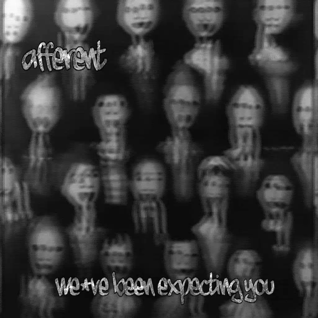 We've Been Expecting You