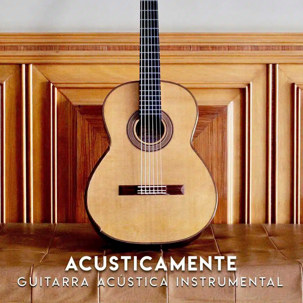 Guitarra Acústica Instrumental