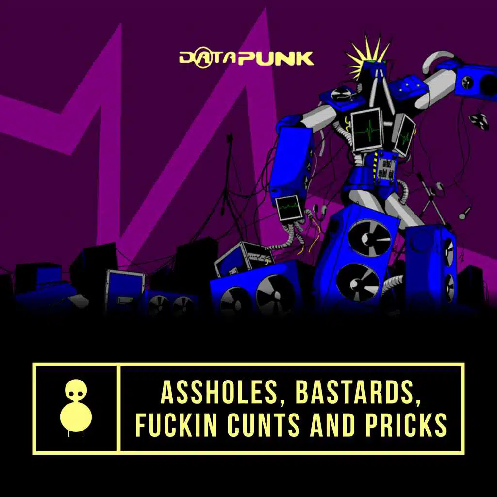 Data Punk