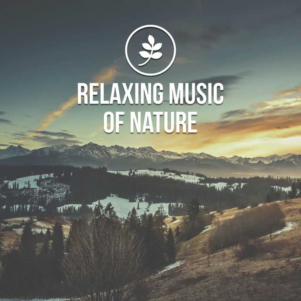 Relaxing Music of Nature – Fabulous New Age Music Therapy, Relaxing Sounds, Gentle Nature, Relaxing Music, Nature Sounds, Feel Better with Positive Sounds of Nature