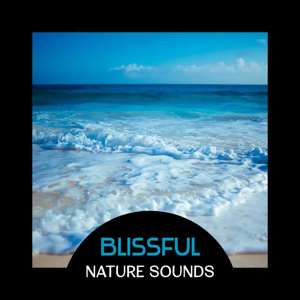 Blissful Nature Sounds – Exceptional Relax, Deep Sleep Treatment, Guided Meditation