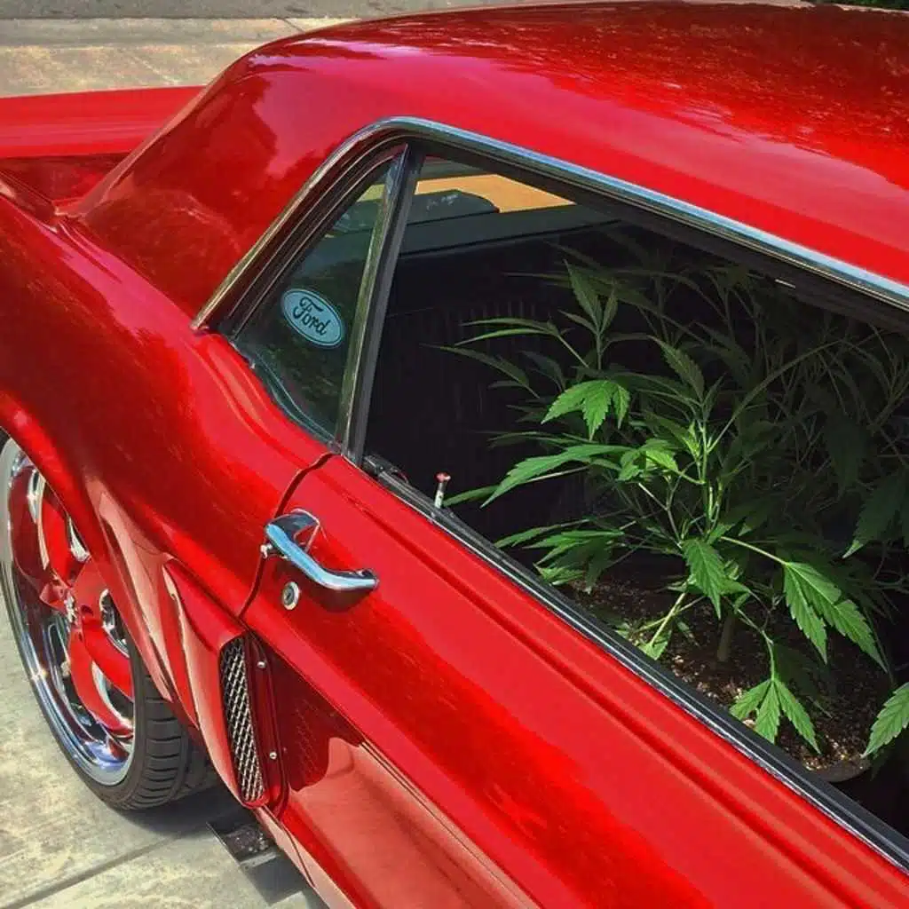 Slight Collection Vol. 2