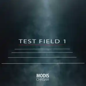 Test Field 1