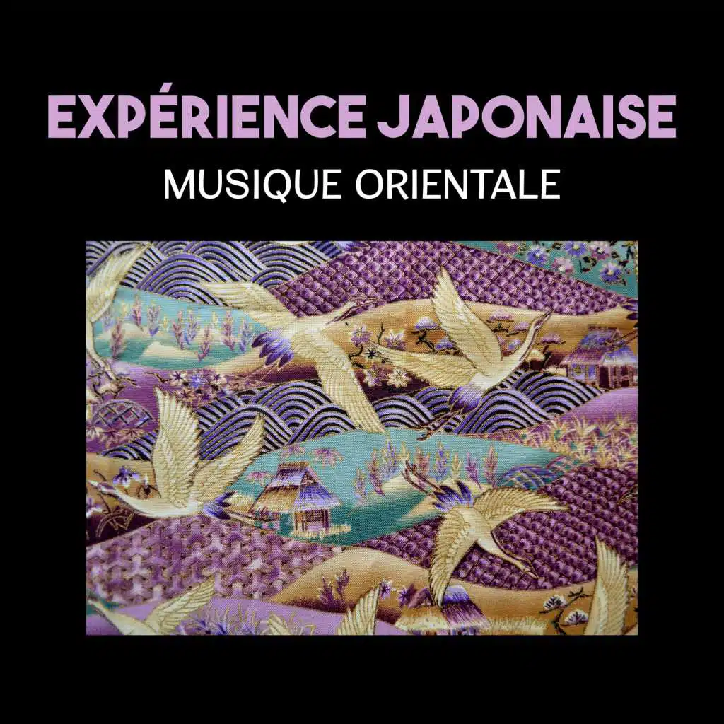Expérience japonaise – Musique orientale, zen chansons pour se détendre, mélodie de flûte traditionnelle, paix intérieure