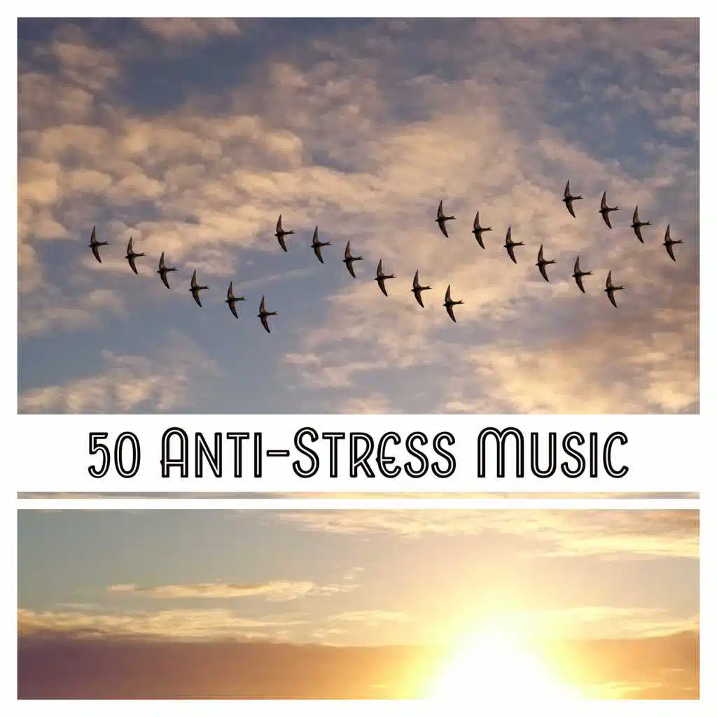 50 Anti-Stress Music: Relaxing Sounds for Meditations to Relieve Stress, Healing Nature Sounds for Massage, Sleep & Yoga
