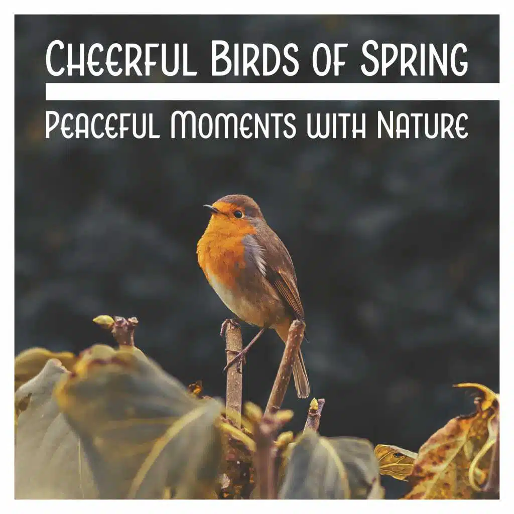 Cheerful Birds of Spring: Peaceful Moments with Nature, Walk at the Forest, Yoga Meditation, Garden Sounds, Serenity & Stress Free, Positive Thinking