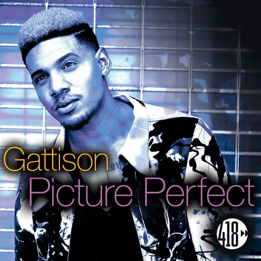 Picture Perfect (Slim Tim Remix)