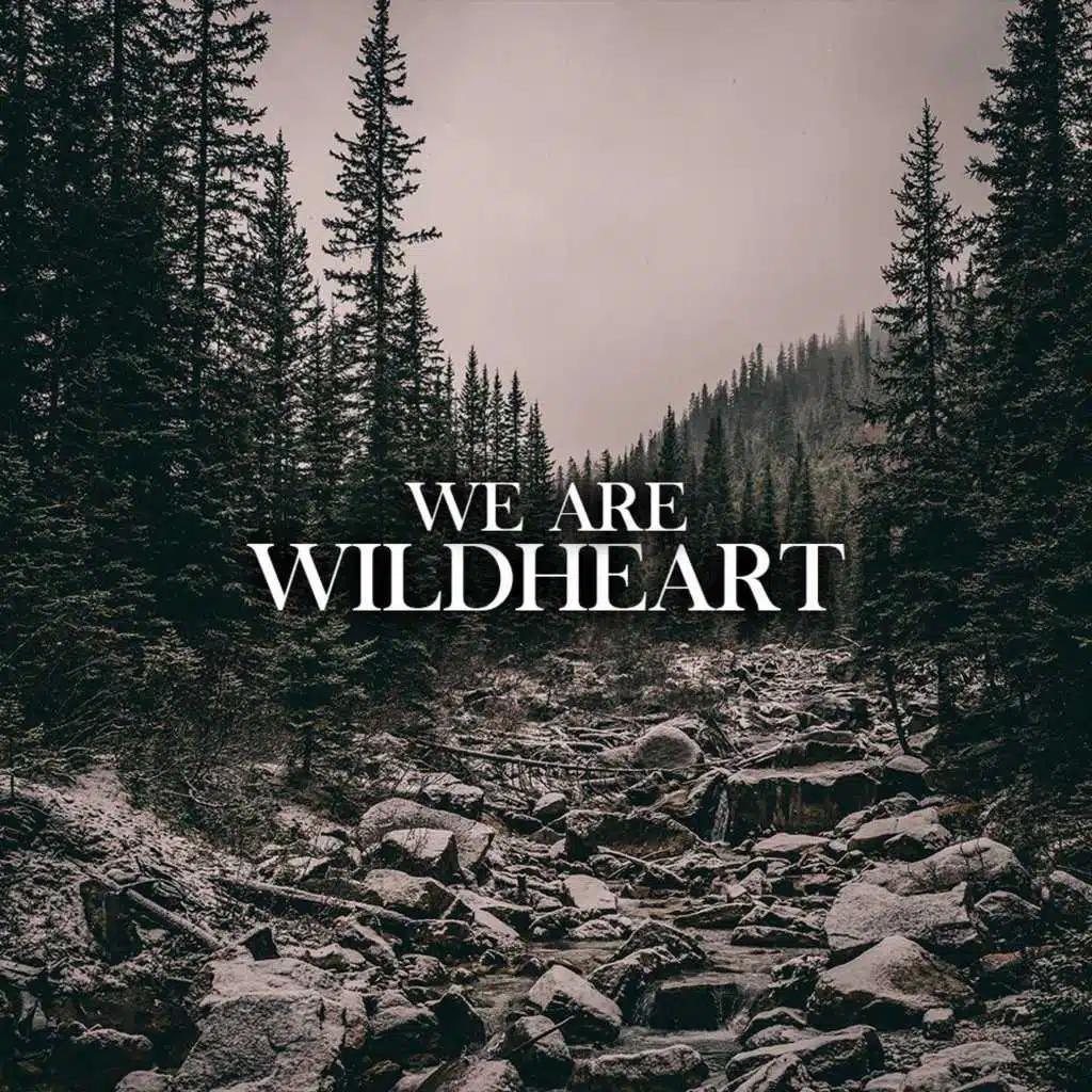We Are