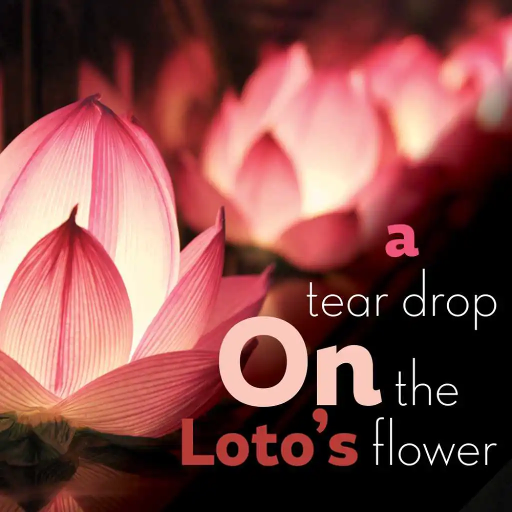 A Tear Drop on the Loto's Flower