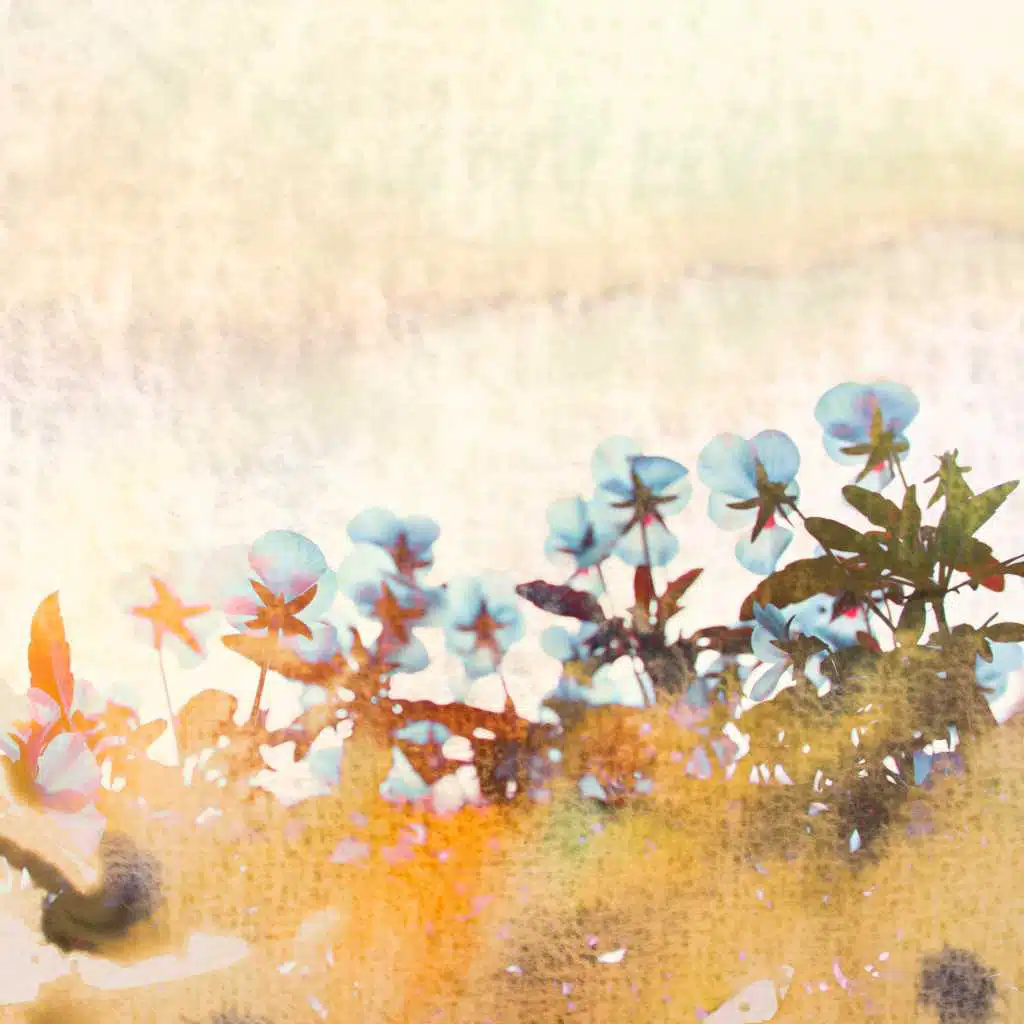 ...In Another Life