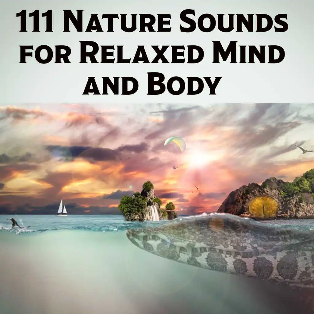 111 Nature Sounds for Relaxed Mind and Body: New Age Healing Natural Ambience, Mindfulness Meditation, Welness Centre Music, Ultimate Brain Stimulation, Soothing Japanese Zen Garden Sounds