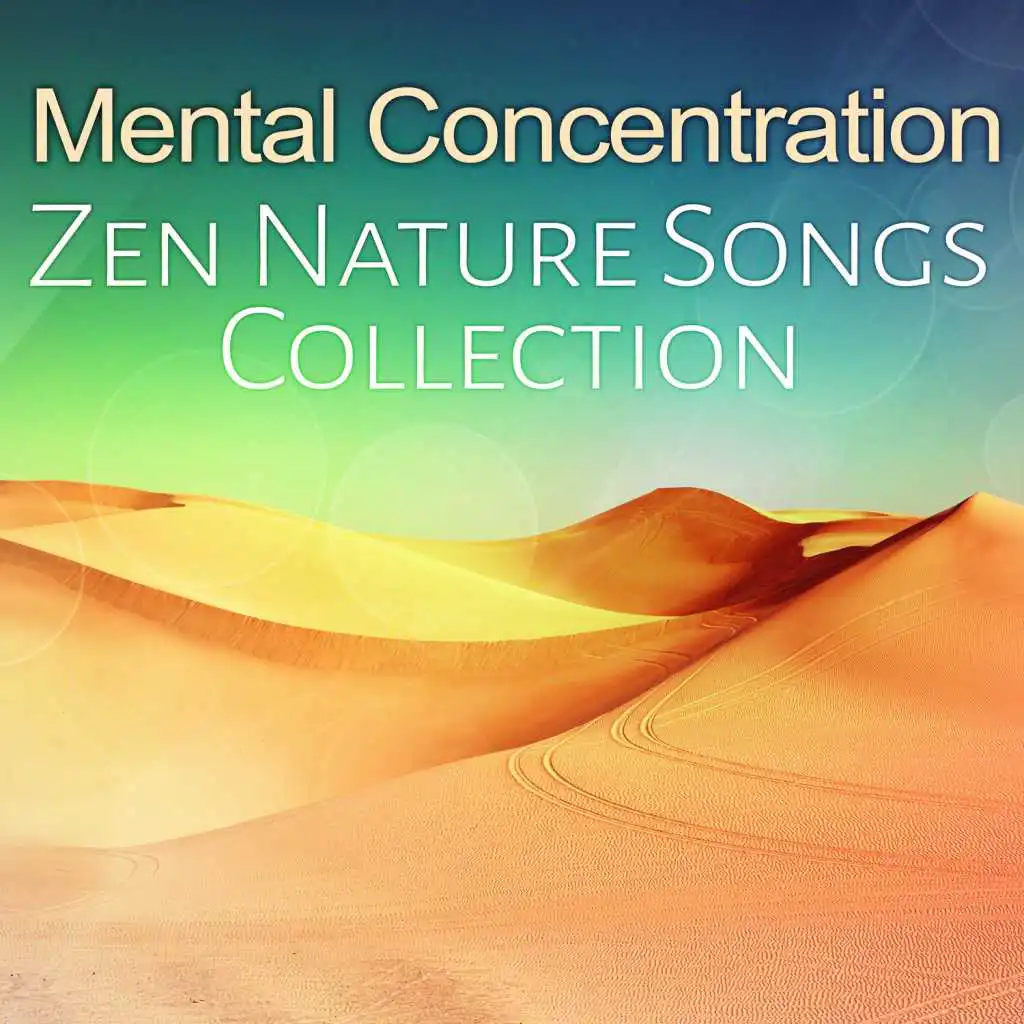Mental Concentration - Zen Nature Songs Collection: Calm Music to Reduce Stress, Yoga Practise, Deep Meditation, Buddhist Zazen, Mind Focus, Relax Therapy and Healing Sounds for Trouble Sleeping