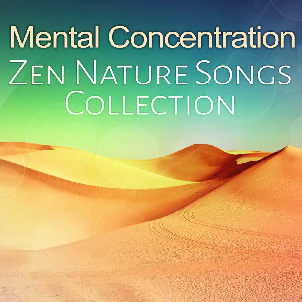 Mental Concentration (Whale Deep Sound)