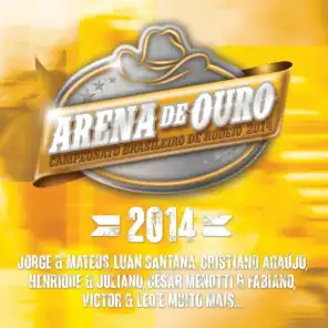 Arena de Ouro 2014