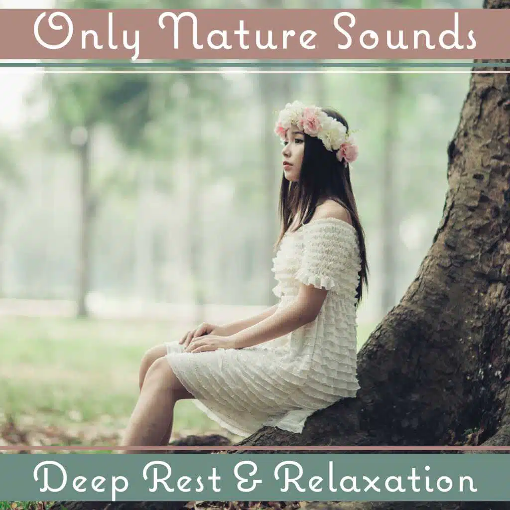 Only Nature Sounds: Deep Rest & Relaxation – Healing Music for Stress Relief, Silence Meditation, Fresh Feeling, Calm Spirit