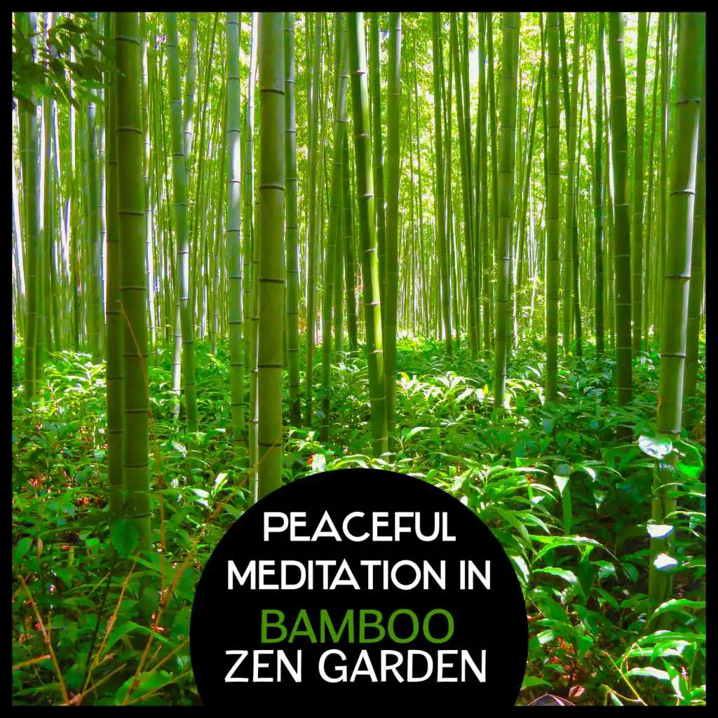 Peaceful Meditation in Bamboo Zen Garden: Traditional Japanese Flute Music, Oriental Kyoto Buddha, Space for Yoga Relaxation