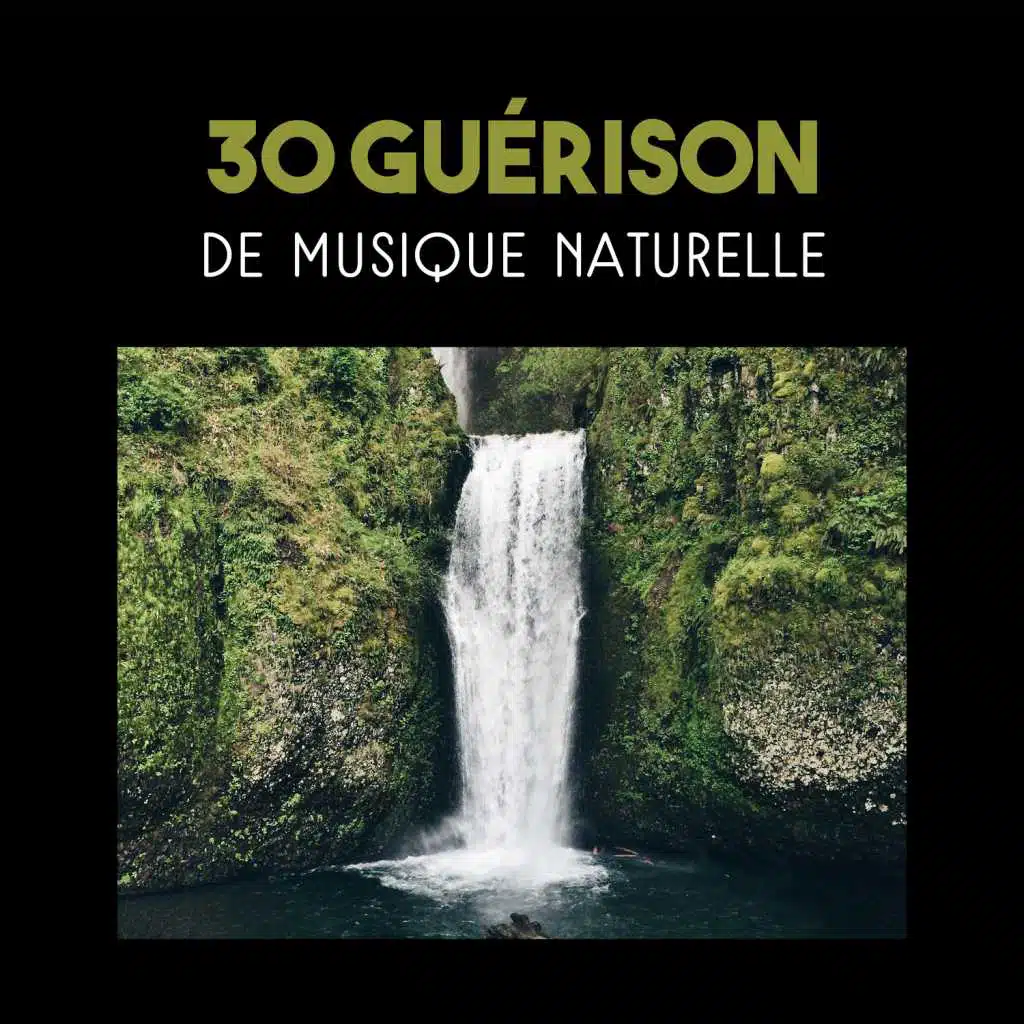30 guérison de musique naturelle - Sonne améliorant l'humeur, réduction du stress, détente et relaxation, harmonie de la nature