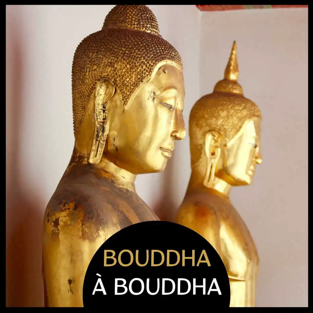 Bouddha à bouddha: Méditation paisible oasis de bambou, espace sacré pour se calmer, exercices de yoga pour la détente