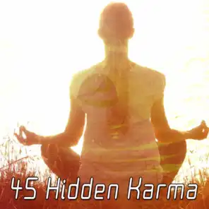 45 Hidden Karma
