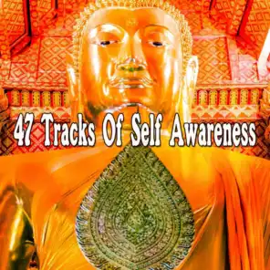 47 Tracks Of Self Awareness