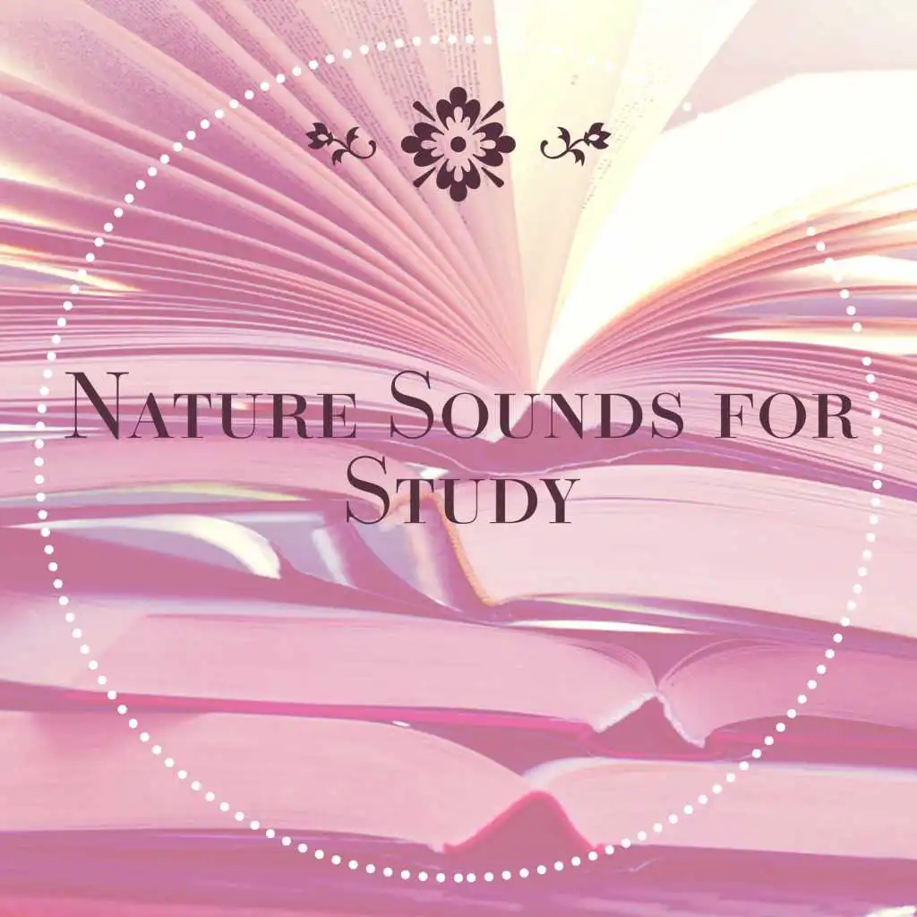 Nature Sounds for Study – Deep Focus, Relaxing Music for Better Concentration, Brain Power, Good Memory