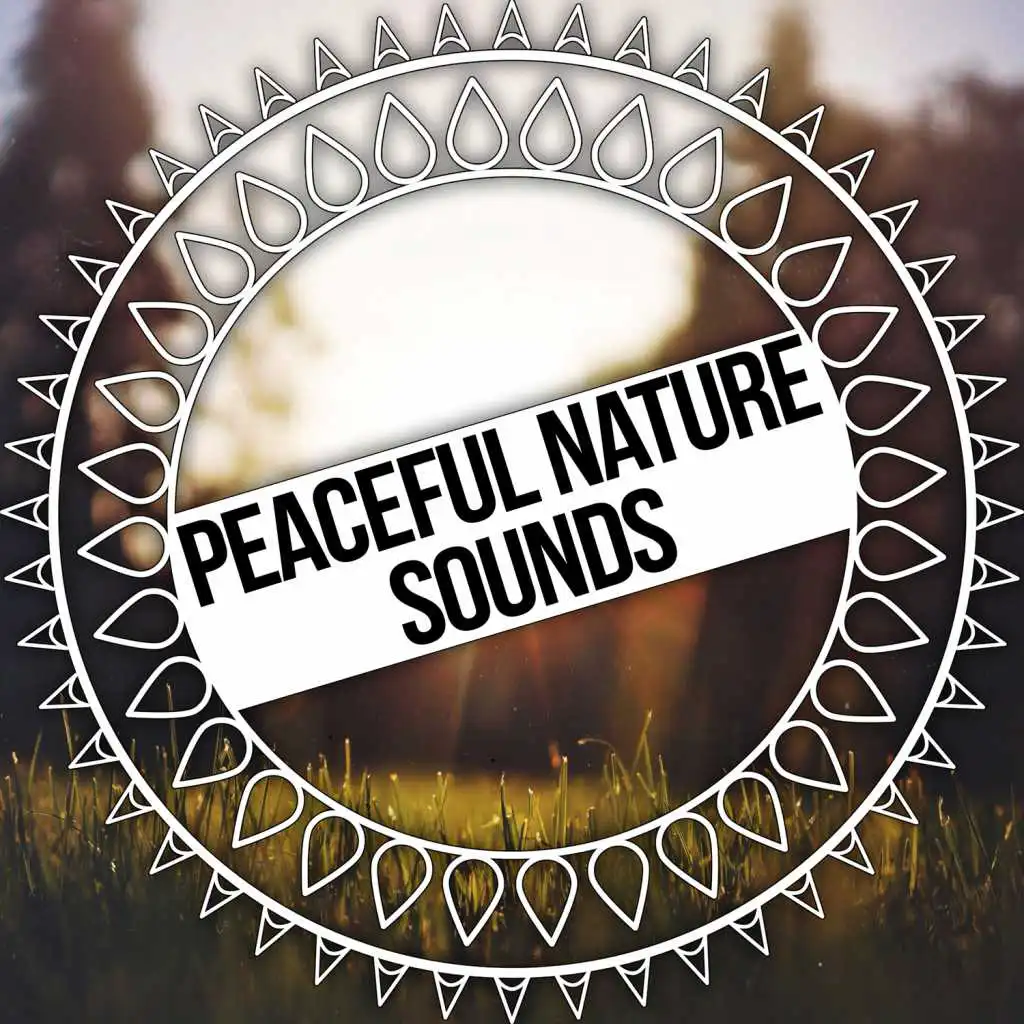 Nature Sounds