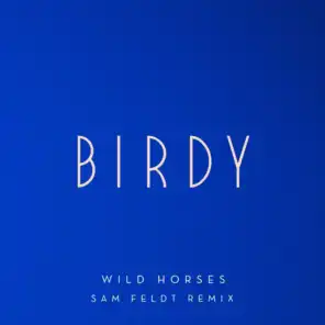 Wild Horses (Sam Feldt Remix)
