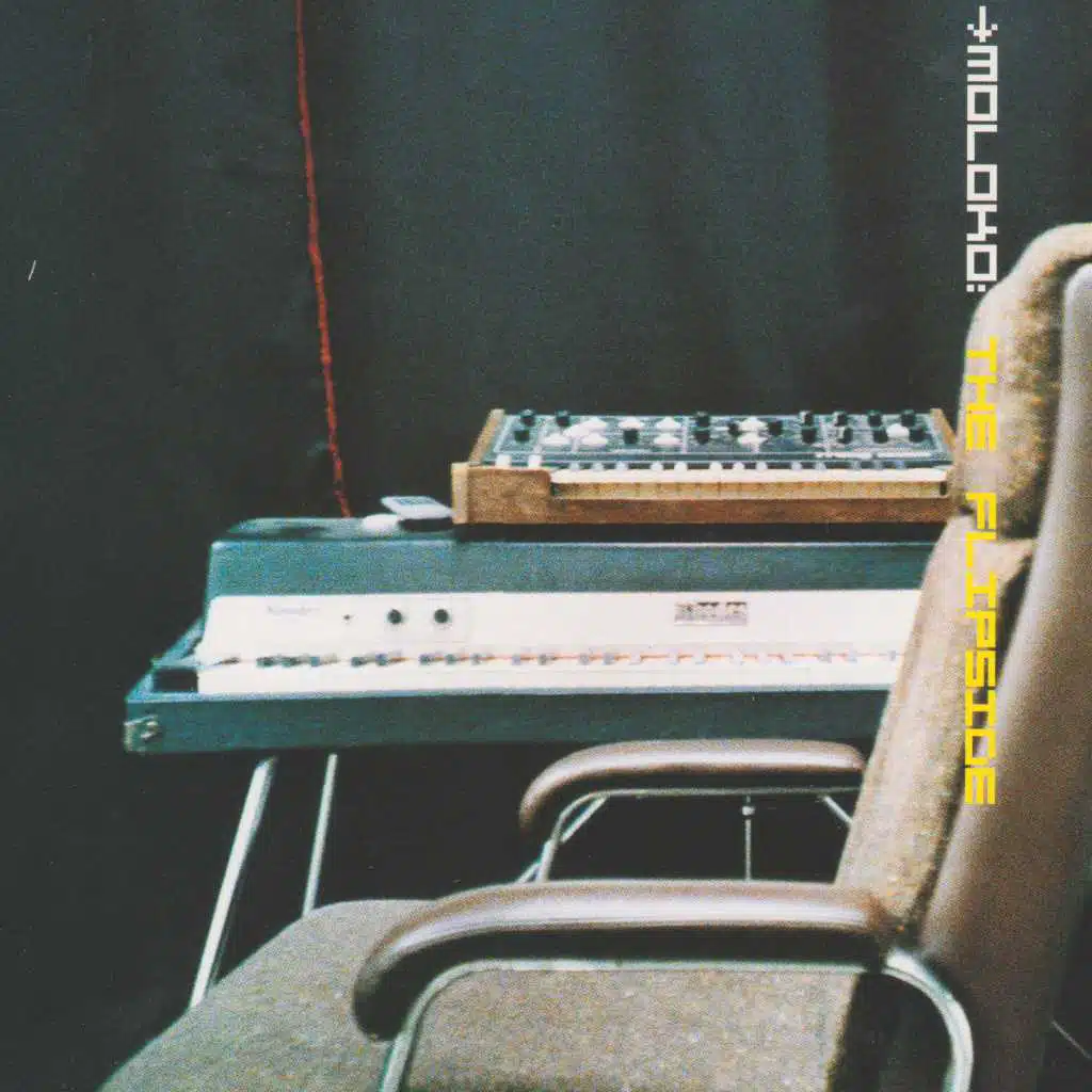 The Flipside (All Seeing I Dubside)