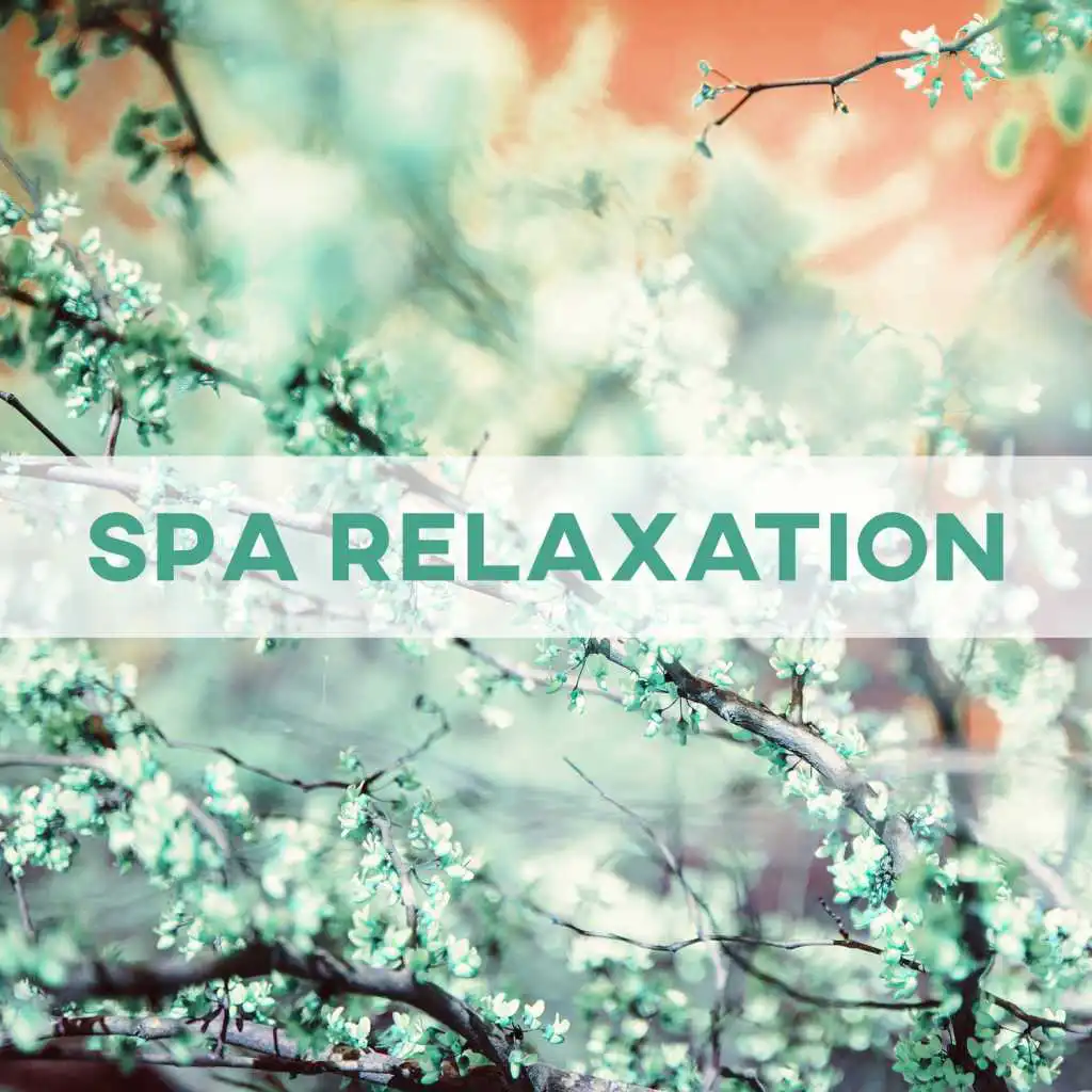 Spa Sounds (Healing Nature)