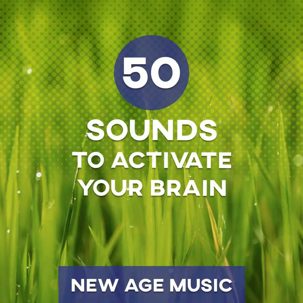 50 Sounds to Activate Your Brain: New Age Music Improves Concentration, Calm nature sounds and Healing Music to Learn, Work & Reading, Brain Stimulation and Exam Study