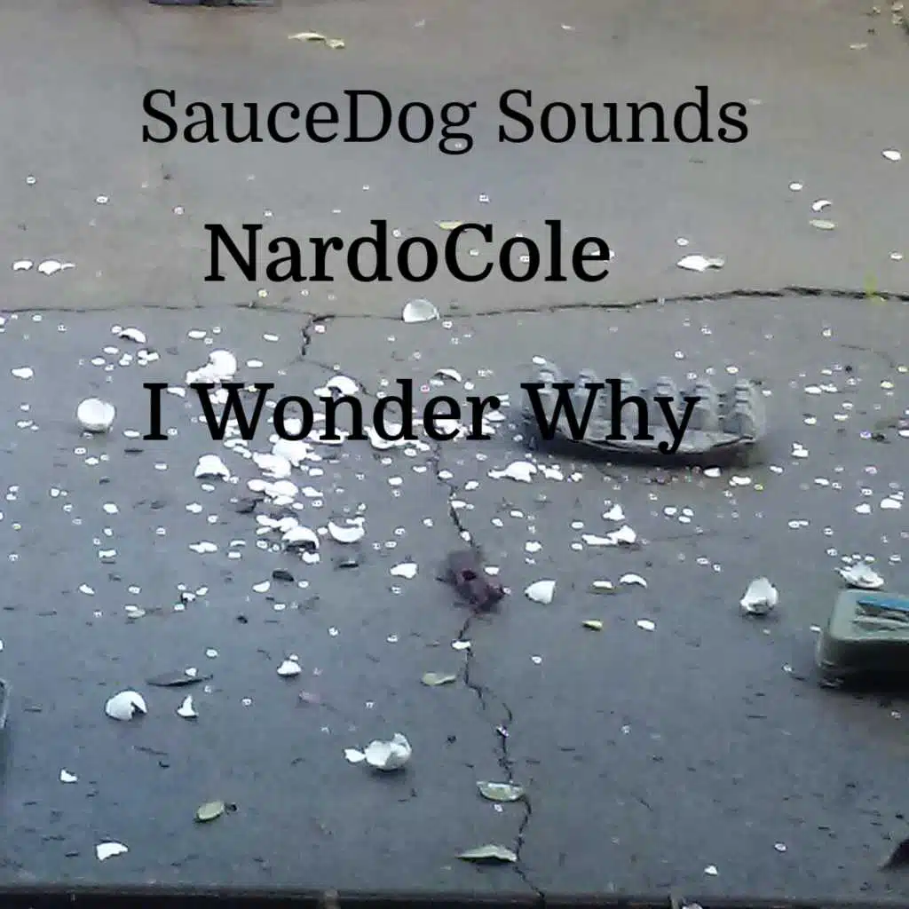 I Wonder Why