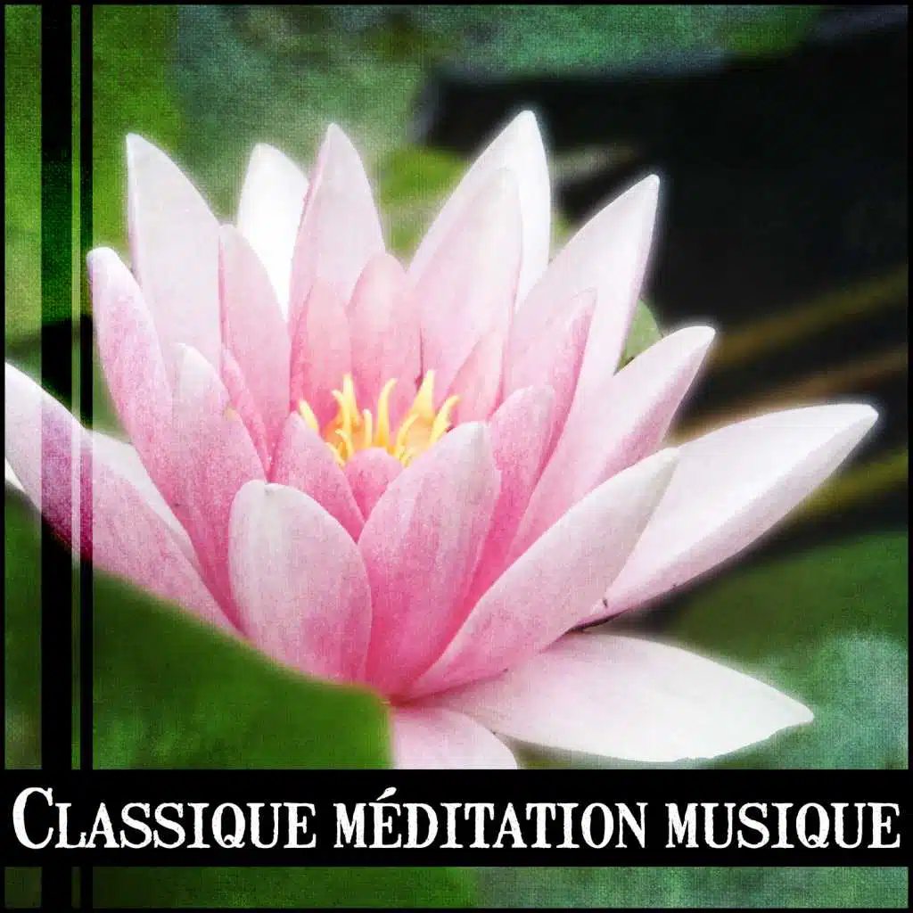 Classique méditation musique - 1 Heure de la sophrologie, Musicothérapie, Exercices avant dormir, Sommeil profond, Relaxation et bien-être