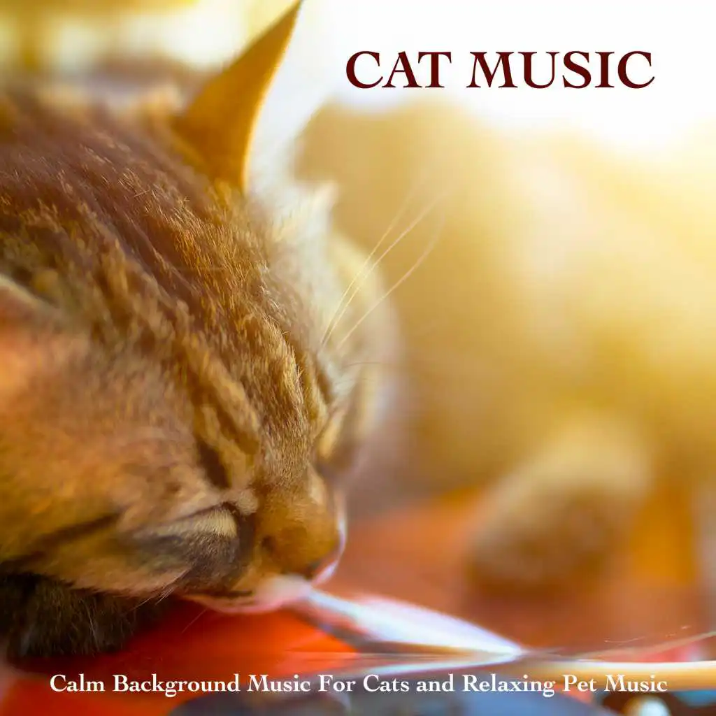 Cat Music: Calm Background Music For Cats and Relaxing Pet Music
