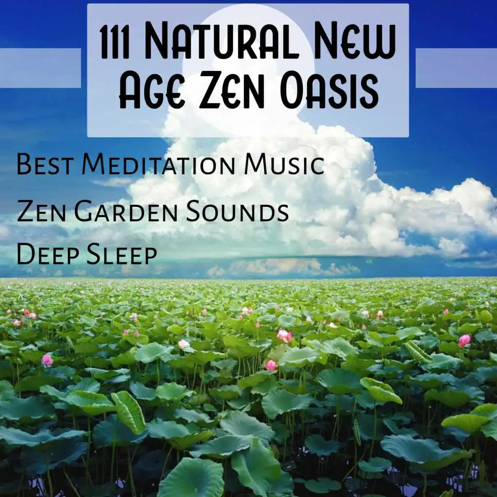 111 Natural New Age Zen Oasis: Best Meditation Music, Zen Garden Sounds, Deep Sleep, Healing Massage, Spa and Yoga Music, Pure Relaxation, Balance and Stress Relief, Feel Incredible