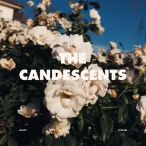 The Candescents