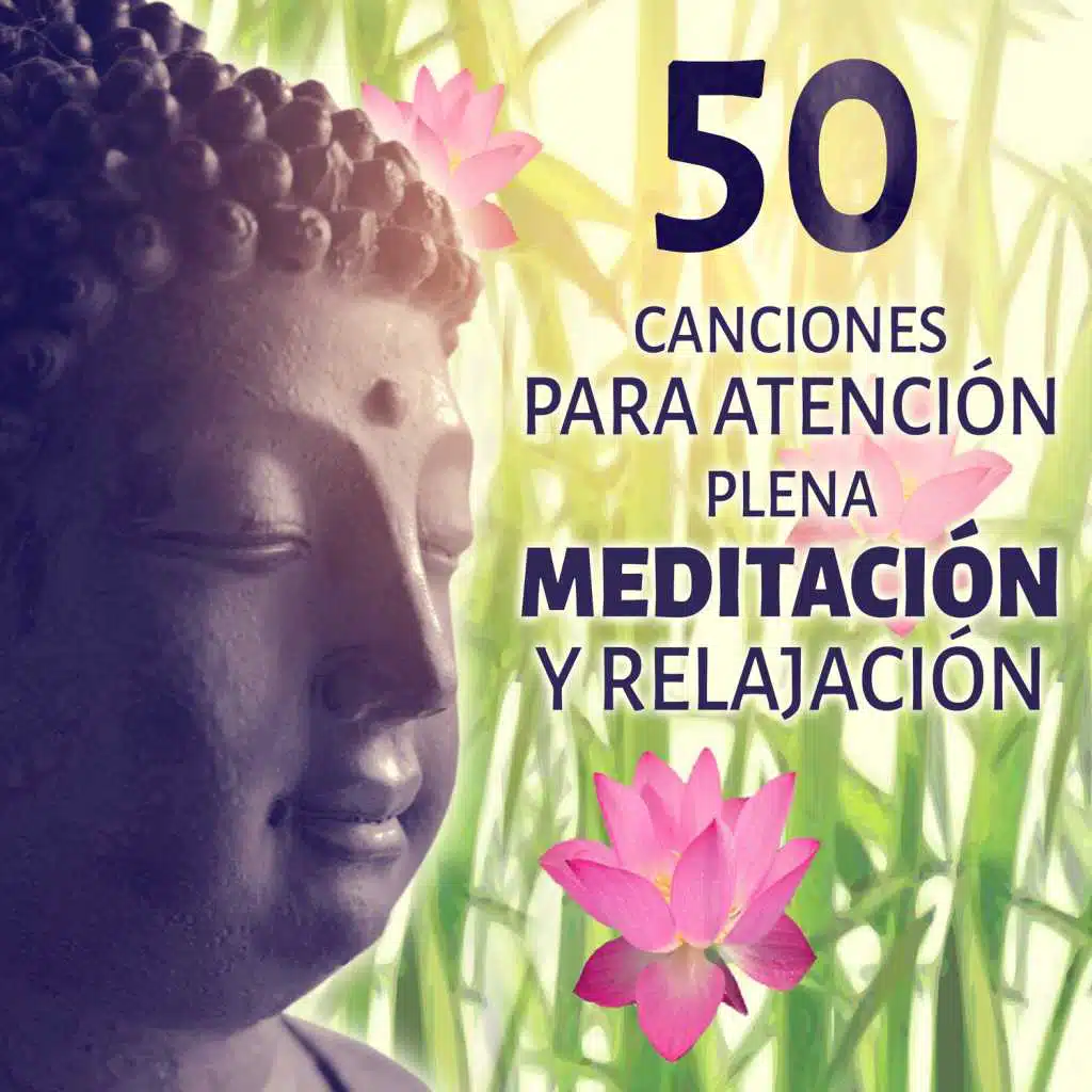 50 Canciones para Atención Plena Meditación y Relajación: Música Serenidad para el Meditación, Yoga, Spa y Masajes, Sonidos Zen Relajante, Pensamiento Positivo & Dulces Sueños