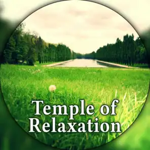 Temple of Relaxation – Calm Music for Relax, Inner Peace, Positive Energy, Deep New Age Sounds