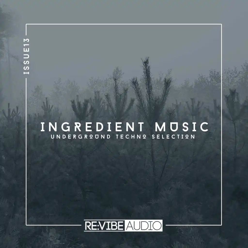 Ingredient Music, Vol. 13