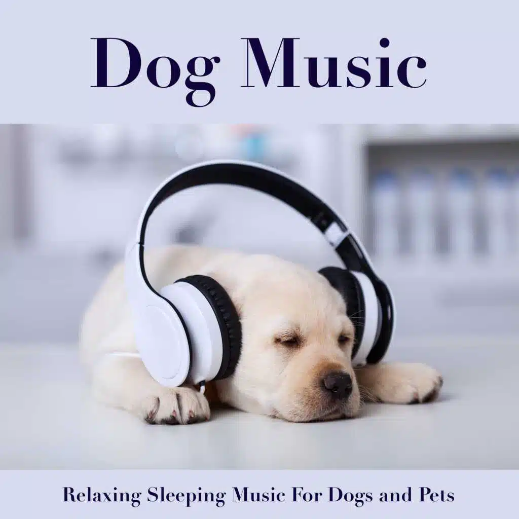 Relaxing Dog Music