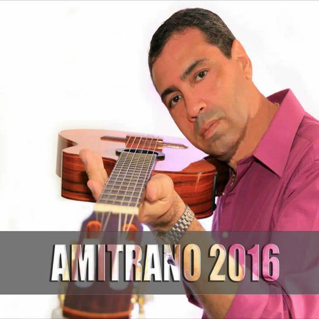 #Amitrano2016